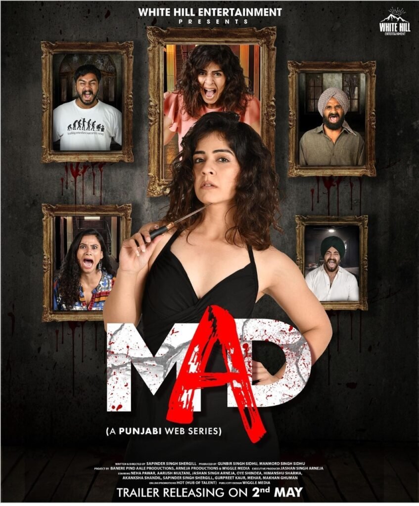 MAD : White Hill Studios First Punjabi Webseries